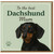To the Best Dachshund Mum Card - Cute Sausage Dog Illustration - Mother's Day Card from the Dog for Mum