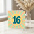 16th Birthday Card, Retro Pastel Sunburst Design