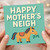 Funny Mother’s Day Card for Mum - “Happy Mother’s Neigh” Horse Pun - Cute Pony Design