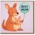Best Mum Balloon Kangaroo & Joey Mother’s Day Card - Cute Animal Design for Mum from Son or Daughter, Perfect for Mother’s Day or Birthday