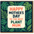 Mother’s Day Card for Mum - Happy Mother’s Day to the Best Plant Mum - Leafy Houseplant Botanical Design, Fun Card for Plant Lovers