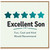 Son Card, Excellent Son Card, Fun Cool and Kind Would Recommend Card