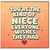 Niece Birthday Card, You're the Kind of Nice Everyone Wishes They Had Card