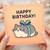 Cute Cat Birthday Card - Chubby Kitten Wrapped Like a Present with Teal Ribbon - Happy Birthday Front - Fun Cat Lover Design for Him, Her, Kids & Friends