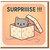 Cute Cat in Spotty Gift Box Birthday Card - 'SURPRIIISE !!!' - Fun Cartoon Kitty Surprise Design for Friends, Family & Cat Lovers