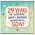 29th Birthday Card for Son, 29 Years of Sunshine Happy Birthday Wonderful Son