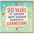 Grandson 20th Birthday Card - 20 Years of Sunshine Happy Birthday Wonderful Grandson