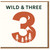 3rd Birthday Card - Wild & Three - Rustic Adventure Forest Design with Big 3, Trees, Moon & Mountain - Cute Unisex Card for 3 Year Old Boy or Girl