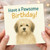 Have a Pawsome Birthday Dog Card - Cute Fluffy Pup Illustration, Punny Birthday Greeting for Dog Lovers, Friends, Family, Children, Him or Her