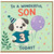 Son 3rd Birthday Card, To a Wonderful Son 3 Today