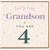 Grandson 4th Birthday Card, Lovely Little Grandson You Are 4
