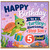 Step Son 5th Birthday Card, Turtle Birthday Card for Step Son