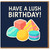 Have a Lush Birthday Card - Colourful Sweet Treats Illustration - Fun Modern Birthday Greeting for Friends, Family, Teens & Adults