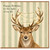Birthday Card, Happy Birthday to the Light of My Life Deer Design