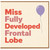 Birthday Card, Miss Fully Developed Frontal Lobe Balloon Design