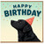 Birthday Card, na Lover Birthday Card, Black na Party Hat Card