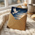 Birthday Card, Hope Safety & Welcome Dove and Lantern Greeting Card