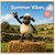 Birthday Card, Funny Sheep Countryside Greeting Card