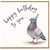 Birthday Card, Watercolour Pigeon Party Hat Design