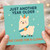 Funny Llama Birthday Card - Just Another Year Older, No Cause for A-llama - Cute Party Hat Pun Card for Friends and Family