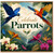 Birthday Card, Tropical Bird Greeting Card