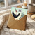 Birthday Card, Funny Ostrich Birthday Card, A Little Birdy Told Me It Was Your Birthday