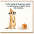 Birthday Card, Cute Meerkat Cake Paralysis Card