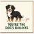 Birthday Card, You're The na's Bollocks Card, Cute Bernese Mountain na Greeting Card