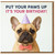 Funny Dog Birthday Card - French Bulldog in Party Hat and Bow Tie, 'Put Your Paws Up It's Your Birthday!'