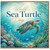 Birthday Card, Ocean Wildlife Greeting Card