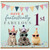 1st Birthday Card, Cute Animal Party Card