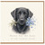 Birthday Card, Sorry for the Loss of Your Faithful Pet Loss Card
