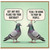 Birthday Card, Pigeon Joke Card, Humorous Birthday Card