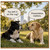 Birthday Card, Humorous Lovers Greeting Card