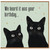 Birthday Card, Funny Black Cat Birthday Card