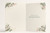 Christmas Card for Brother, “Merry Christmas Brother” Green Lettering with Winter Foliage, Pine Sprigs, Red Berries and Star Illustration