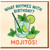 Funny Birthday Card - What Rhymes With Birthday? Mojitos! Cocktail Pun with Lime and Mint - Humour Card for Adults and Friends