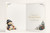Auntie Christmas Card, Teddy Bear & Christmas Tree
