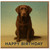 Chocolate Labrador Birthday Card - Painterly Dog Illustration with 'HAPPY BIRTHDAY' Caption - Cute Card for Dog Lovers, Friends and Family