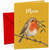 Mum Christmas Card with Robin and Mistletoe