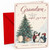 Grandson Christmas Card with Penguins and Christmas Tree