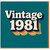 Vintage 1981 Birthday Card - Retro 80s Typography on Teal with Layered Rainbow Shadow - Nostalgic Card for 1981 Birth Year