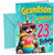 Grandson 23rd Birthday Card Meowgical Unicorn Cat Cocktail