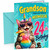 Grandson 24th Birthday Card Meowgical Cat Rainbow Cocktail