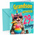 Grandson 29th Birthday Card Meowgical Unicorn Cat Cocktail