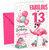 Grandson 13th Birthday Card Flamingo on Roller Skates &