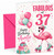 Auntie 37th Birthday Card Flamingo on Roller Skates & Balloons