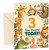 Step Daughter 3rd Birthday Card Safari Animals Party Hats