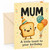 Mum Birthday Card Cute Toast Character with Balloons