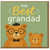 Grandad Card - The Best Grandad - Cute Teddy Bears Illustration - Father's Day or Birthday Card from Grandchildren